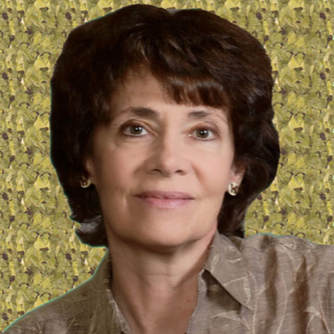 Dr.-Anne-Board-Image-sm